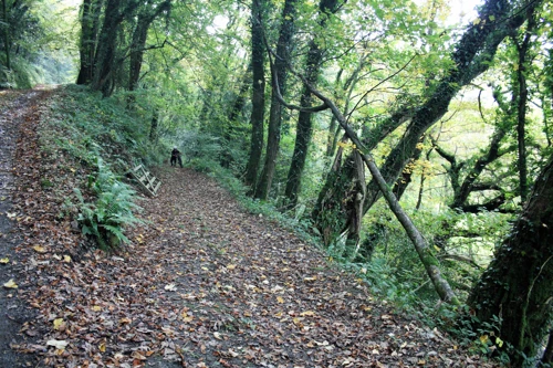 30 Oct 2016 · Avon Railway, Loddiswell